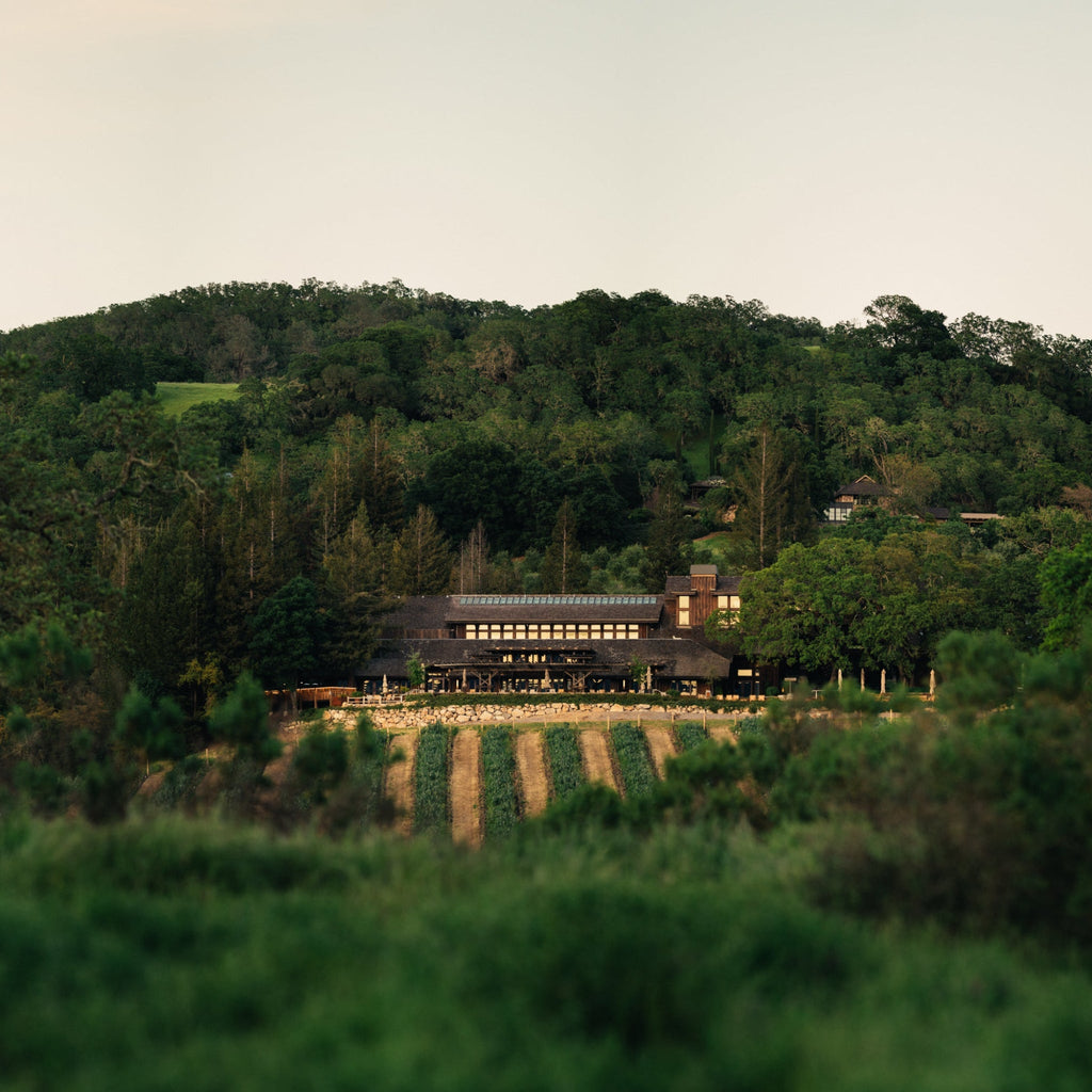 Joseph Phelps Red Wine Insignia Napa Valley