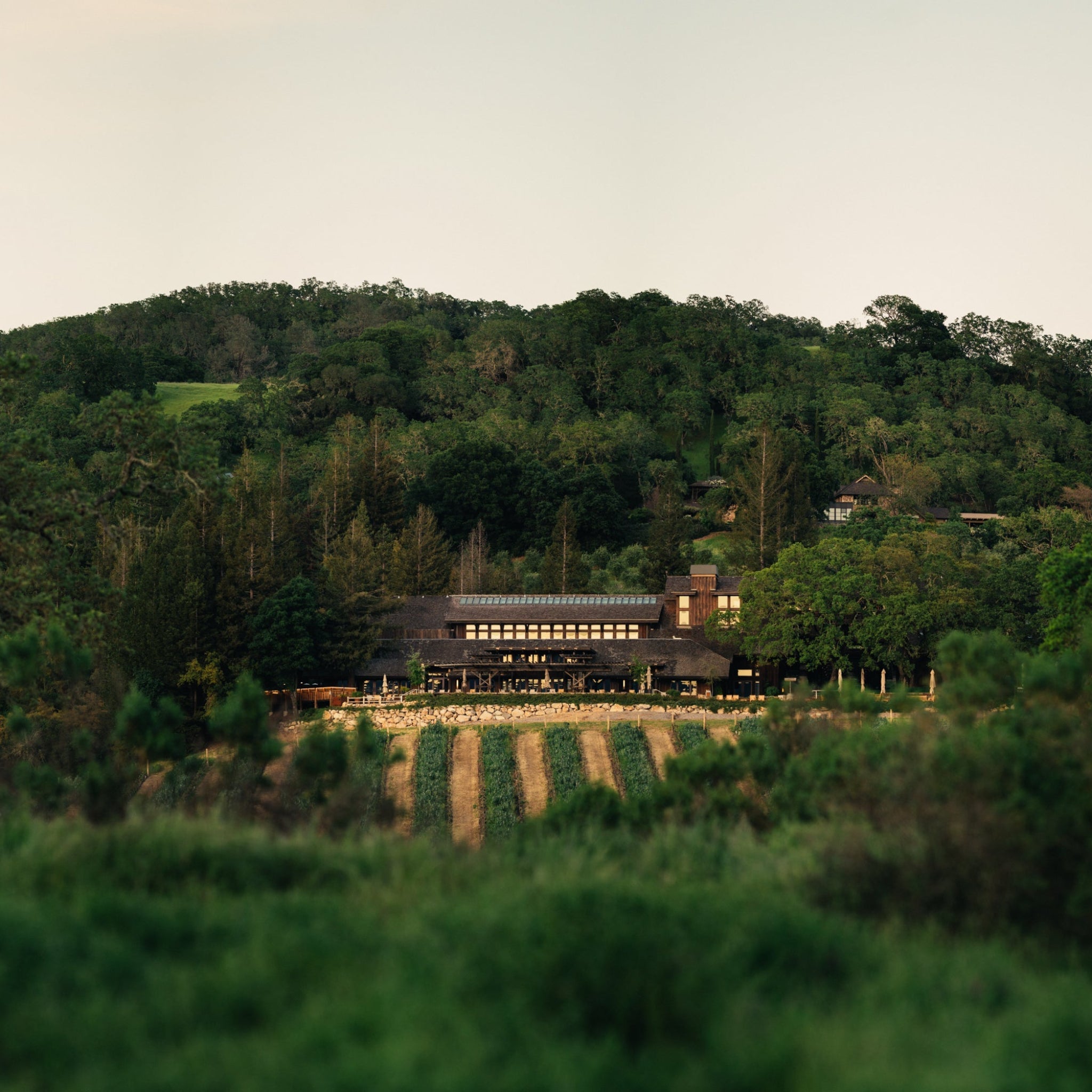 Joseph Phelps Red Wine Insignia Napa Valley